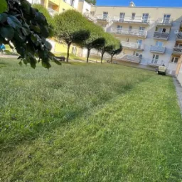 Kosiarka samojezdna na trawniku przed budynkiem mieszkalnym z balkonami, widoczne rzędy drzew o kulistych koronach.