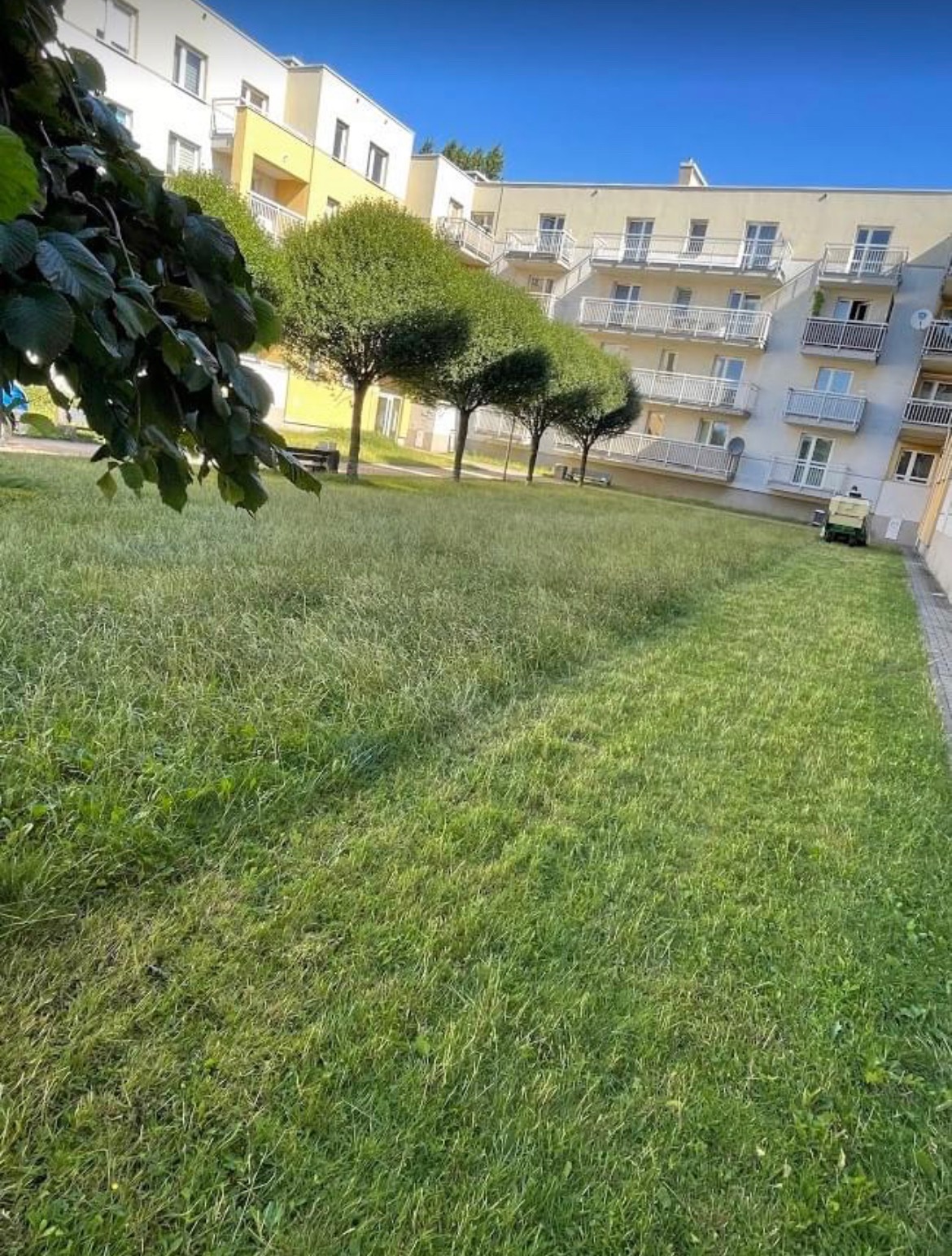 Kosiarka samojezdna na trawniku przed budynkiem mieszkalnym z balkonami, widoczne rzędy drzew o kulistych koronach.