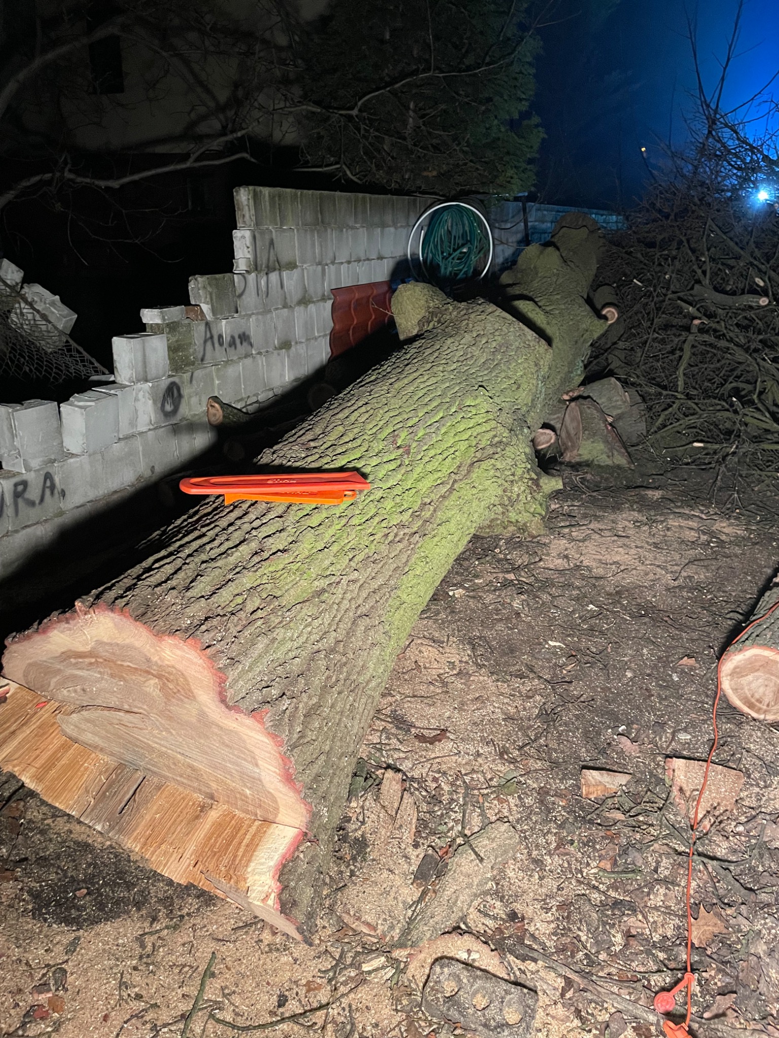 Ścięte drzewo z pomarańczowym klinem rozszczepiającym, leżące na ziemi obok resztek muru z graffiti, w tle zwój węża ogrodowego i sterta gałęzi.