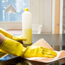 Sprzątanie mieszkań Płońsk 4