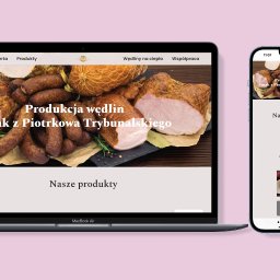 Moje ostatnie realizacje, które wykonałem. Są to strony interentowe, sklepy interentowe. Ogólnie wykonałem już ponad 300 realizacji.