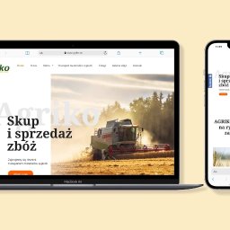 Tworzenie stron internetowych Piotrków Trybunalski 3