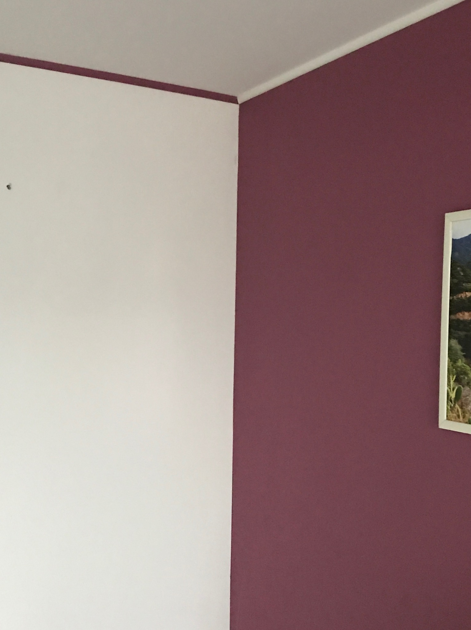 Ściana pomalowana na dwa kolory: biały i fioletowy, z obrazem w białej ramie w prawym górnym rogu.