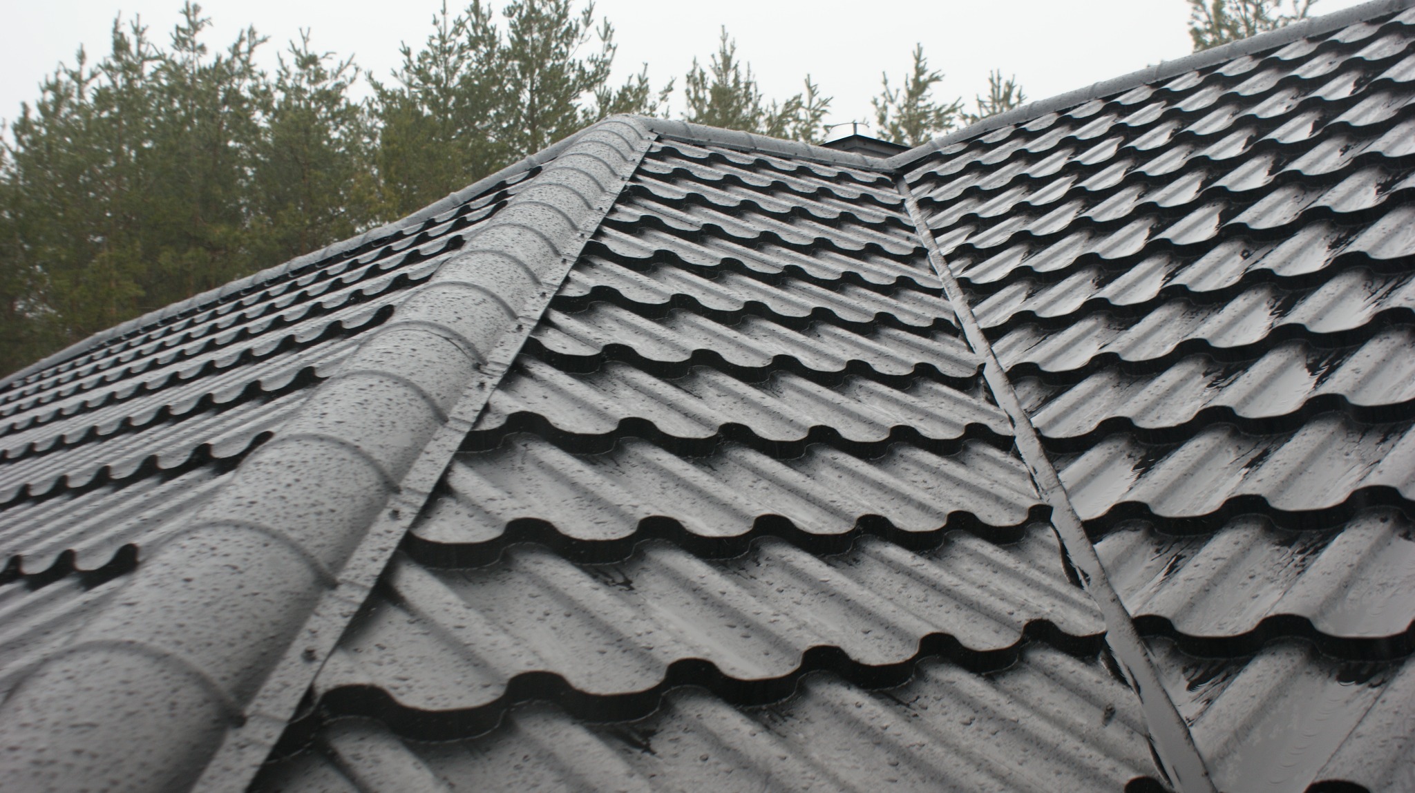 Nowy, grafitowy dach pokryty blachodachówką Barcelona, widoczne krople deszczu, w tle drzewa iglaste.