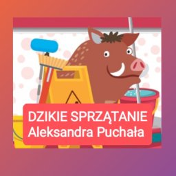 DZIKIE SPRZĄTANIE Aleksandra Puchała - Pralnia Dywanów Starachowice