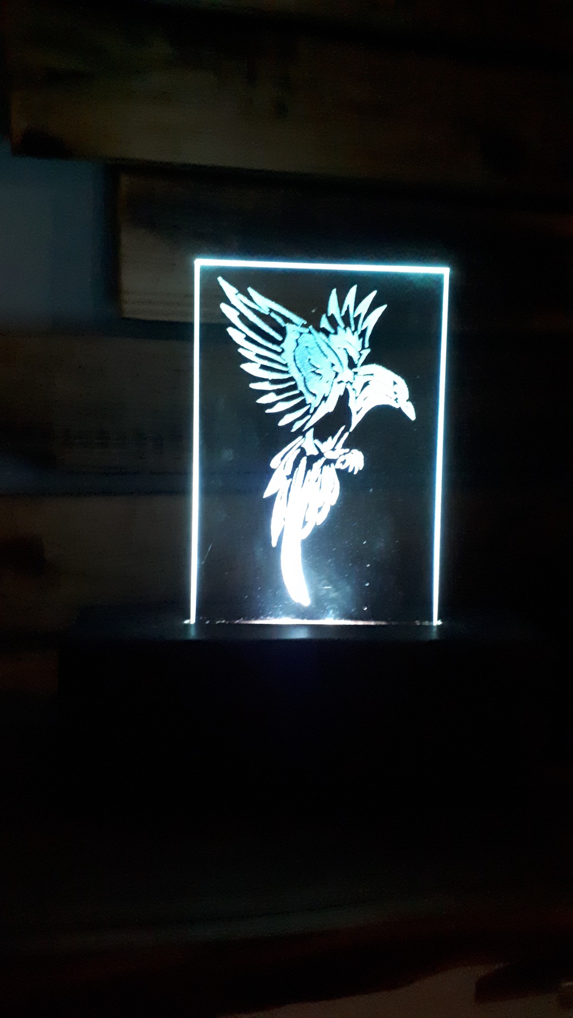 Podświetlana, przezroczysta płyta z wygrawerowanym wizerunkiem ptaka z rozpostartymi skrzydłami, stojąca na ciemnej powierzchni.