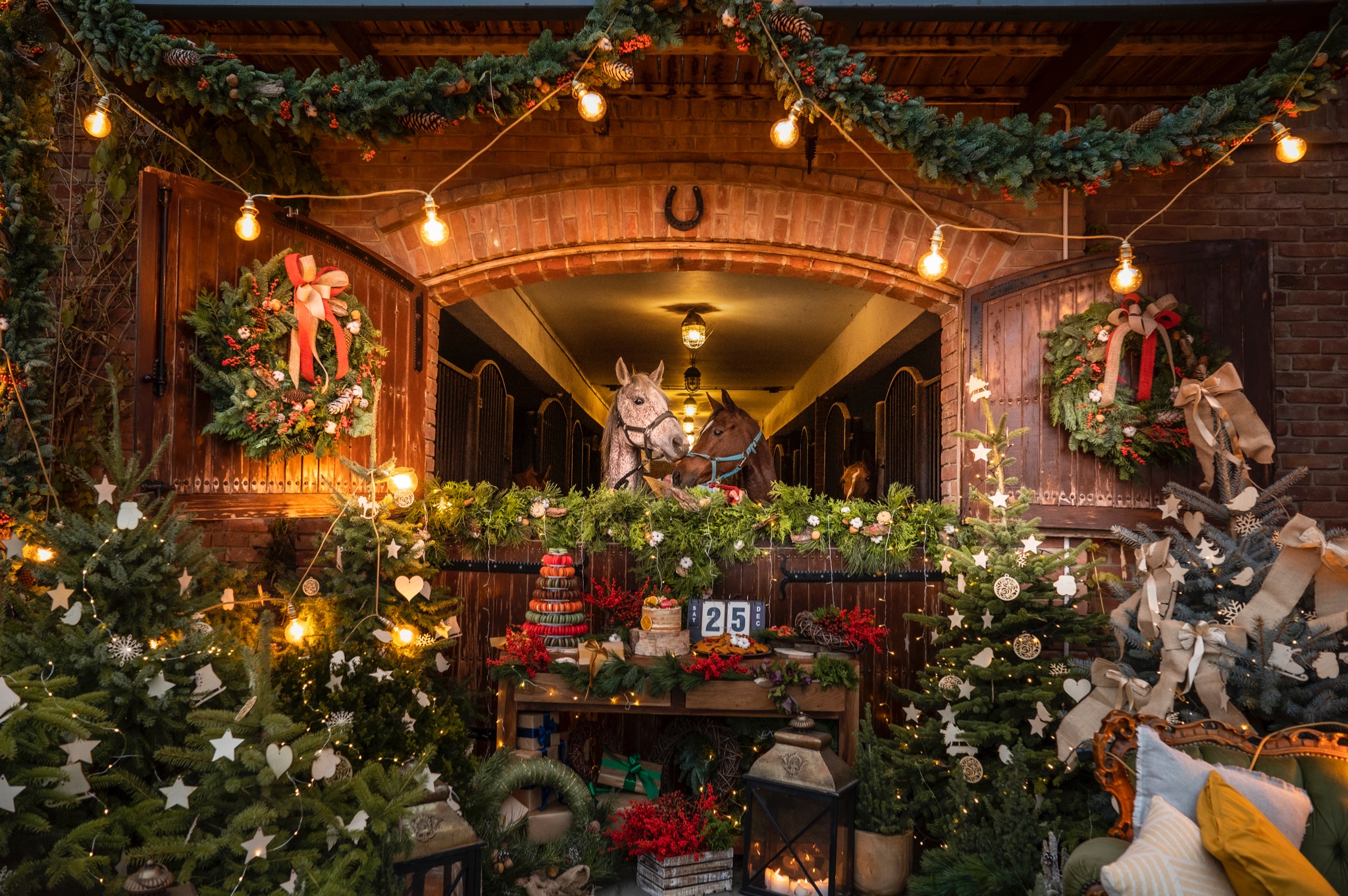 Świątecznie udekorowana stajnia z dwoma końmi wyglądającymi z boksów, girlandy, wieńce, choinki i kalendarz adwentowy tworzą bożonarodzeniową atmosferę.
