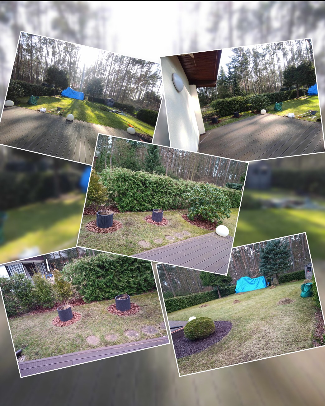 Mozaika zdjęć przedstawiająca zadbany ogród z elementami drewnianego tarasu, równo przystrzyżonym żywopłotem, kulistymi krzewami obsypanymi korą, donicami z roślinami i trawnikiem, na którym widać...