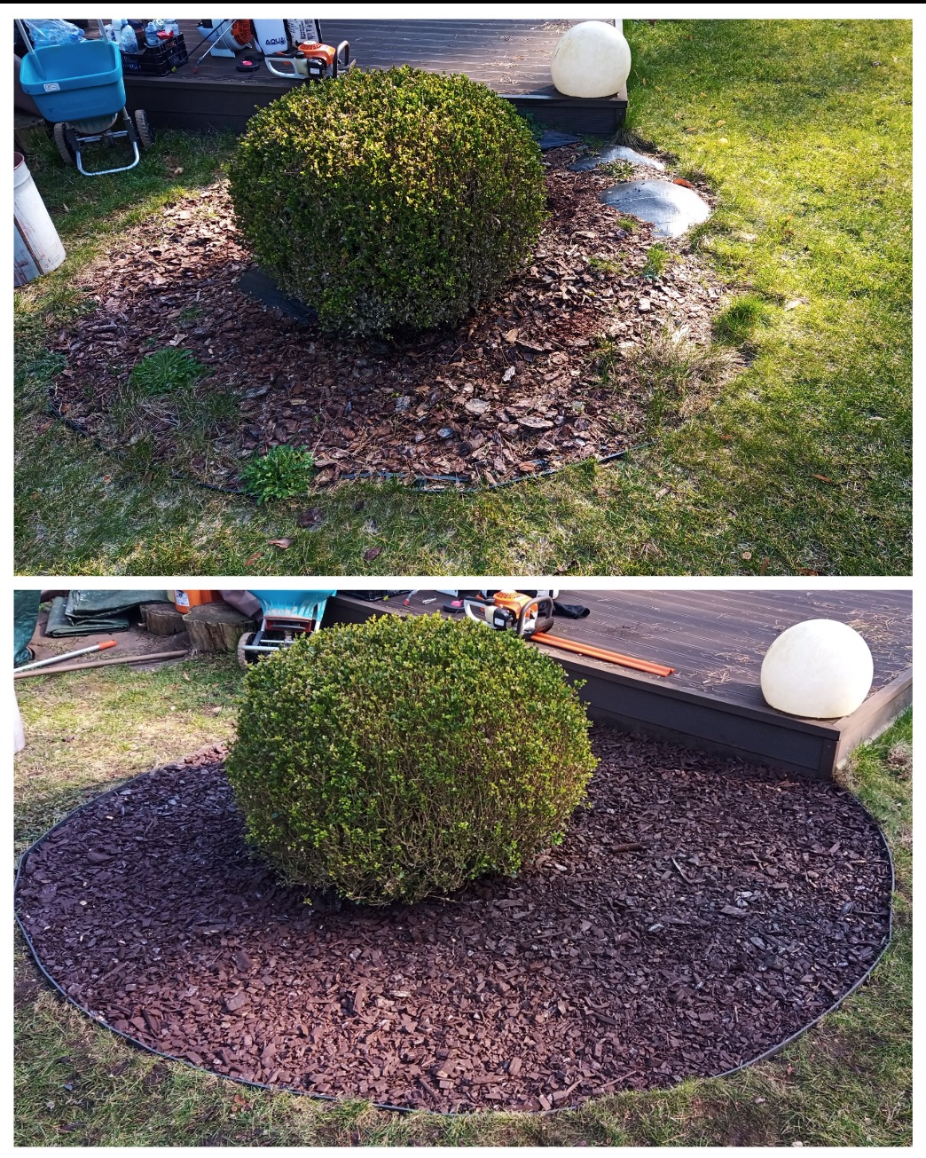 Porównanie przed i po: Kulisty krzew otoczony korą, najpierw z mieszanką kory i trawy, następnie z jednolitą warstwą ciemnej kory, obrzeże z tworzywa, na trawniku przy drewnianym tarasie.