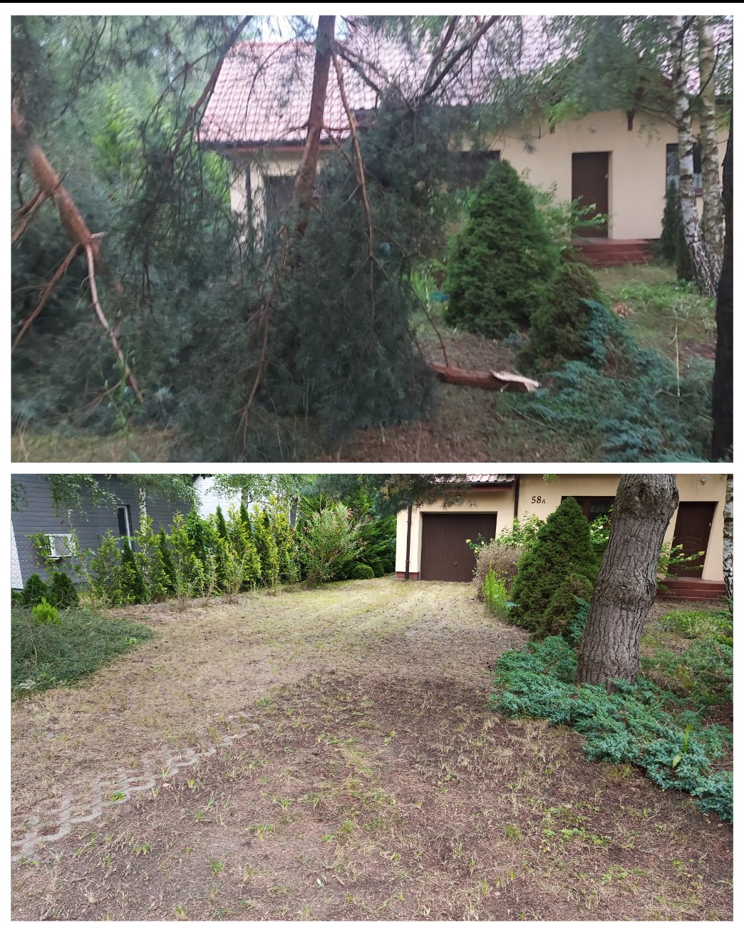 Porównanie stanu ogrodu przed i po usunięciu powalonego drzewa: widok na dom z ogrodem, gdzie górne zdjęcie pokazuje zniszczenia po wichurze, a dolne zdjęcie ukazuje uporządkowaną przestrzeń...