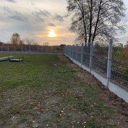 Michał Stawarski - Nowoczesne ogrodzenie panelowe z podmurówką betonową, widok z perspektywy ogrodu, z drzewami w tle i zachodzącym słońcem, jesienne liście na trawie.