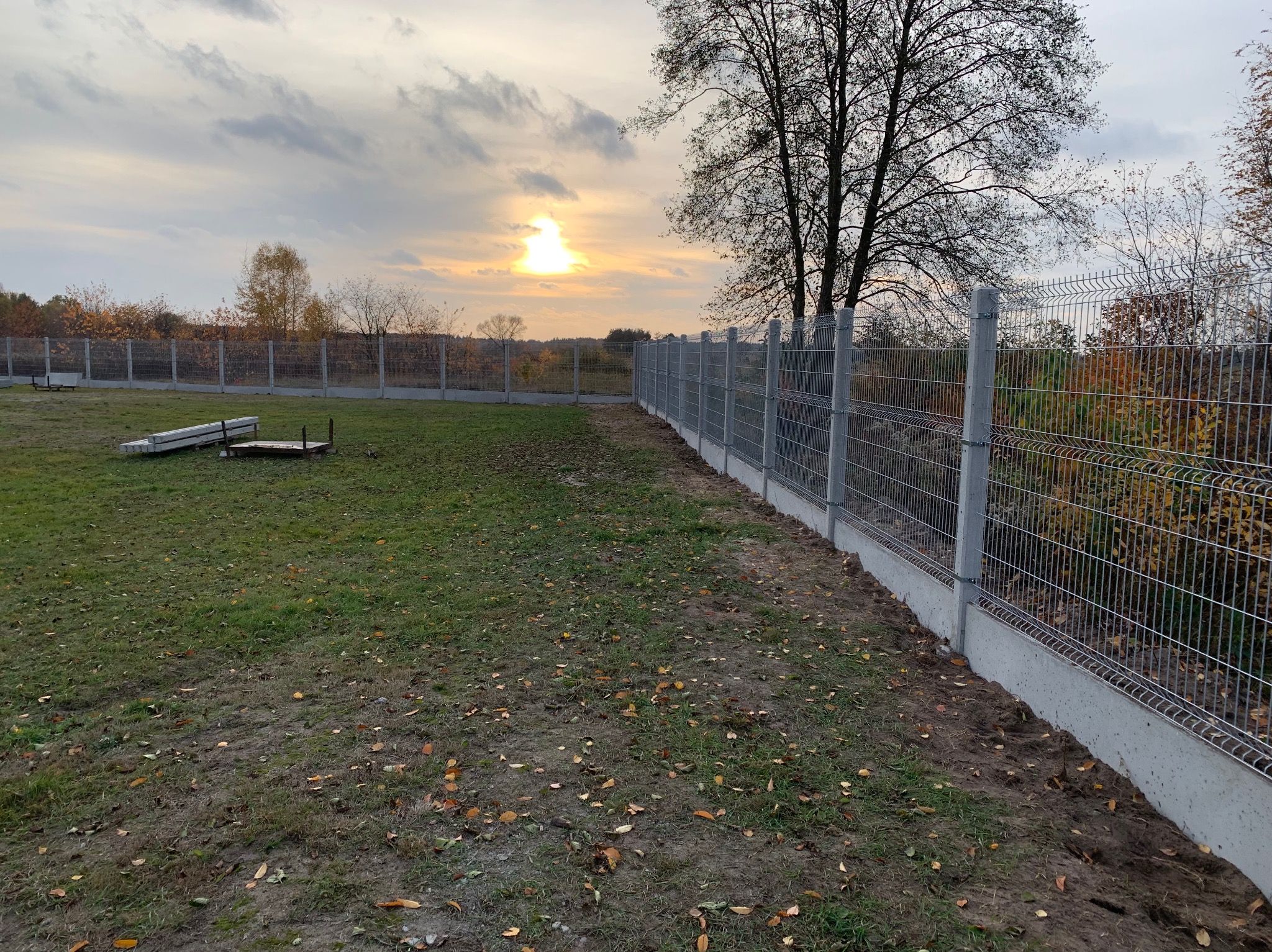 Nowoczesne ogrodzenie panelowe z podmurówką betonową, widok z perspektywy ogrodu, z drzewami w tle i zachodzącym słońcem, jesienne liście na trawie.