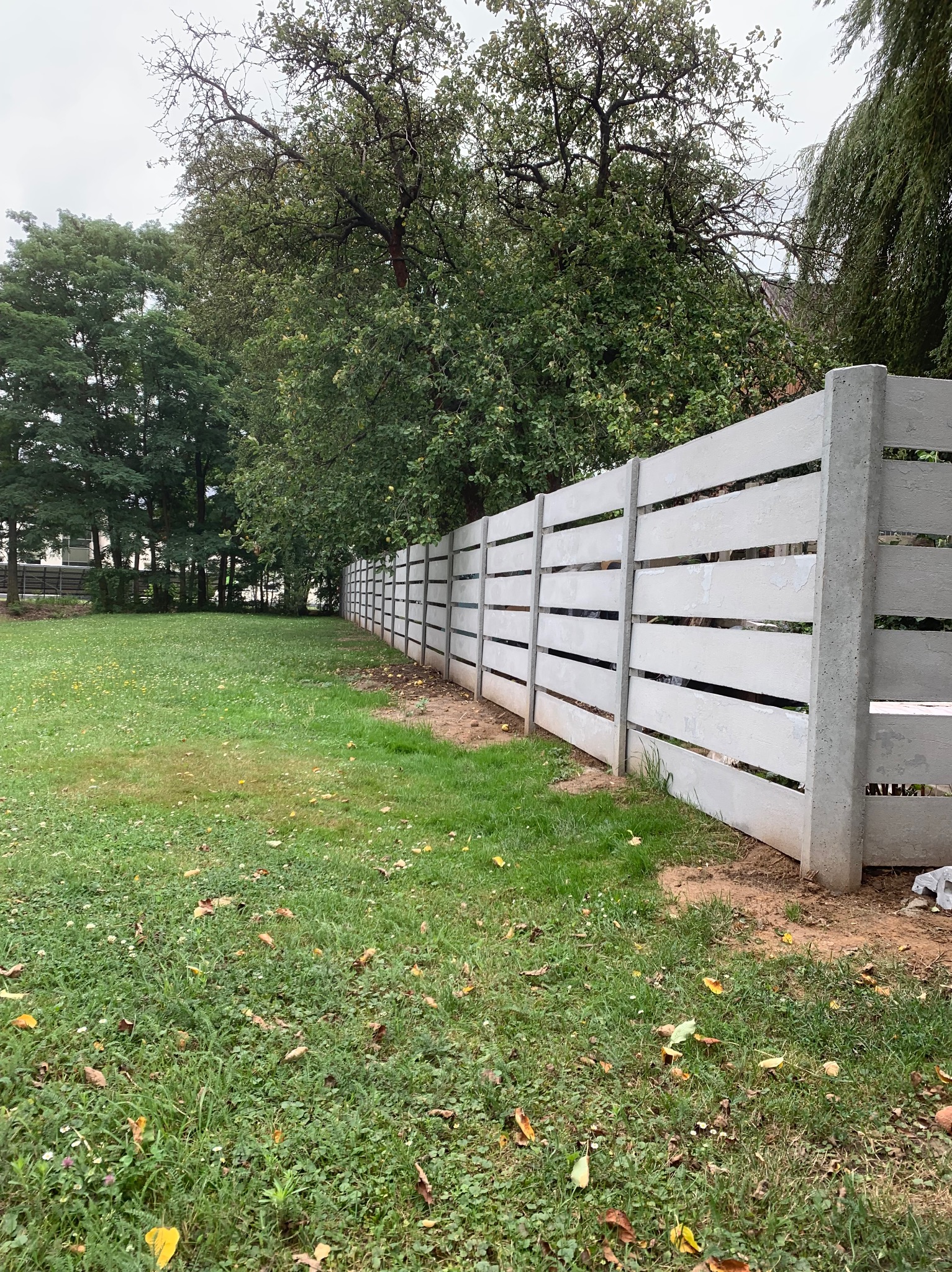 Szary, betonowy płot lamelowy z szerokimi przerwami między deskami, biegnący wzdłuż trawnika z drzewami w tle, widziany z perspektywy żabiej z dołu.