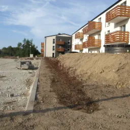 Świeżo posadzone krzewy wzdłuż chodnika na tle nowego osiedla, paleta z kostką brukową w tle, widoczne ślady prac ziemnych.