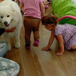 Dogoterapia jest jedną z form wspomagania rozwoju małych dzieci. Jest to terapia z udziałem psa pod okiem opiekunów. Buduje relacje między człowiekiem a zwierzęciem . Przełamuje lęk, opór oraz kształtuje emocje.