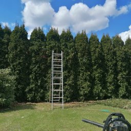 Wycinka drzew Tuchola 4