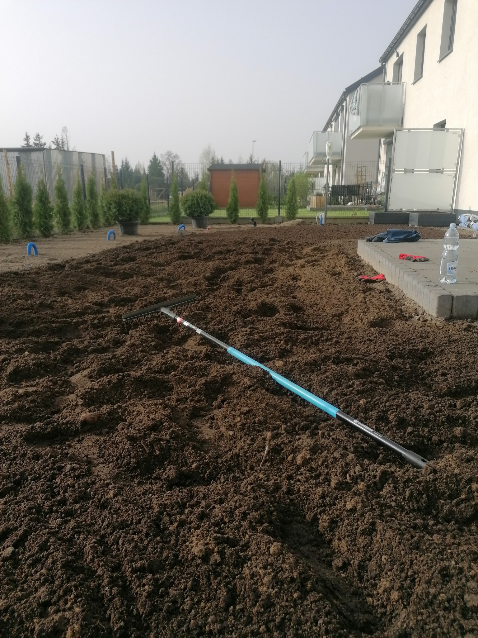 Przygotowany teren pod trawnik, wyrównana ziemia z widocznymi śladami grabi, w tle rząd małych drzewek iglastych w donicach i budynek mieszkalny.