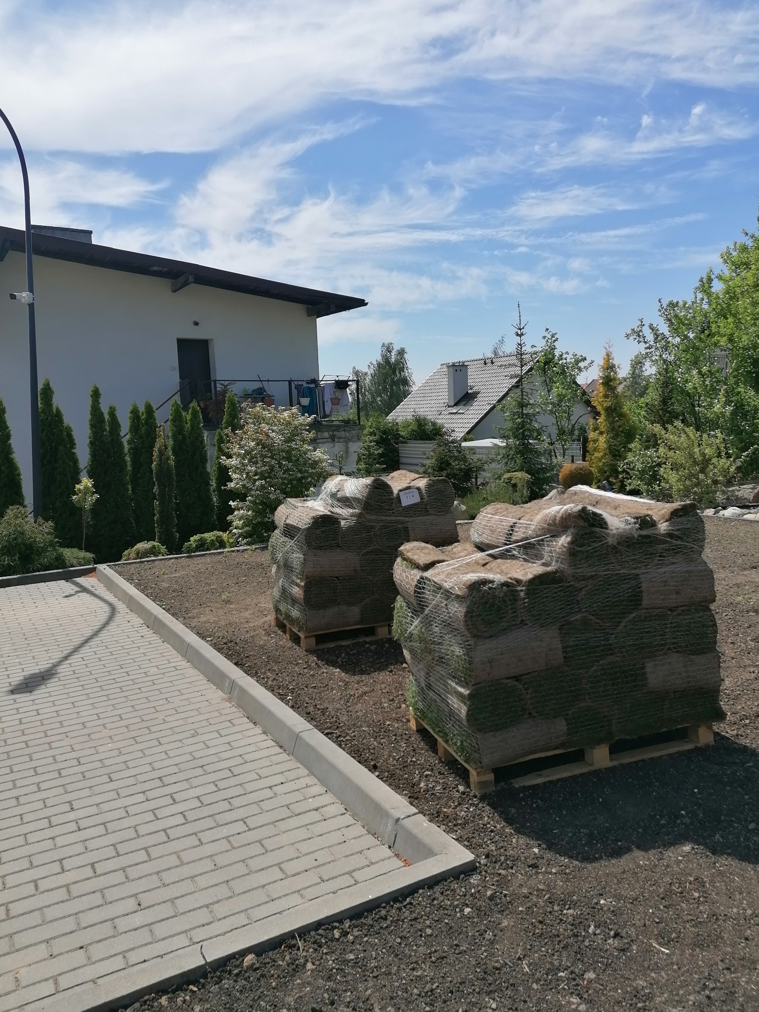 Dwie palety z rolkami trawy, owinięte siatką, leżą na przygotowanym podłożu z widocznymi grudkami ziemi, obok wyłożony kostką chodnik, w tle dom z wysokimi tujami i błękitne niebo z chmurami.