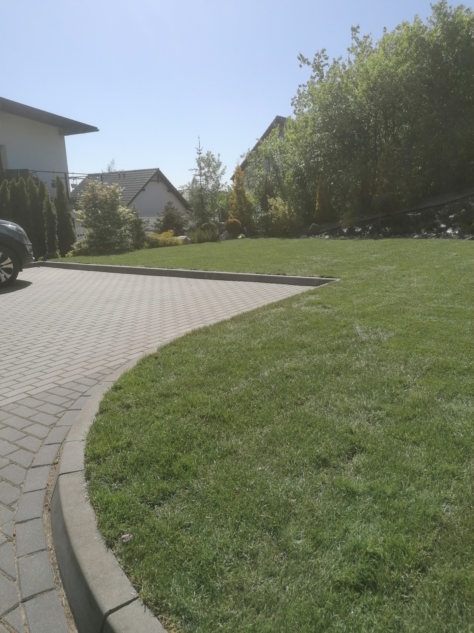 Starannie utrzymany trawnik przylegający do podjazdu z kostki brukowej, widok na dom z zadbanym ogrodem w tle, częściowo widoczny samochód po lewej stronie.