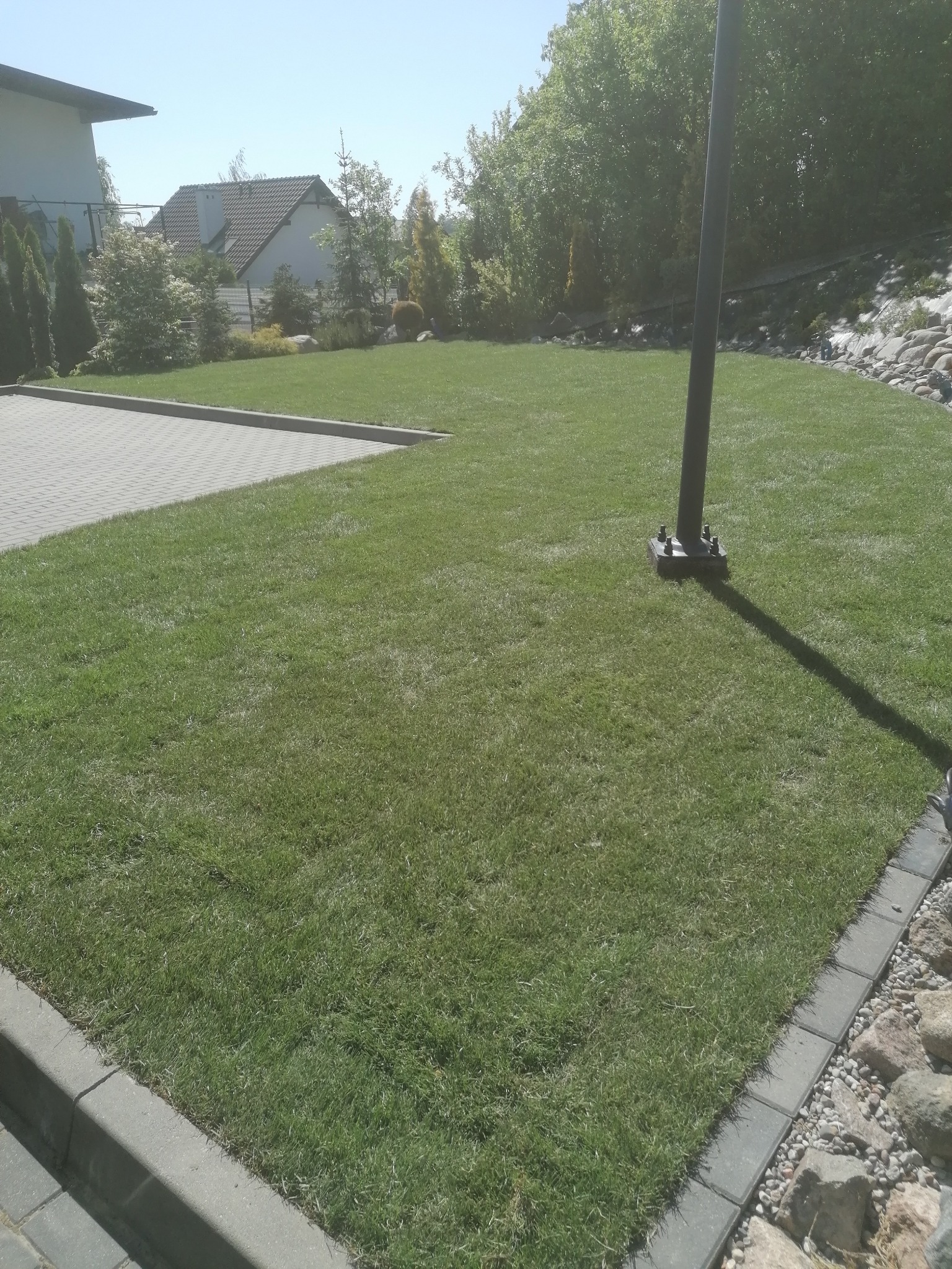 Świeżo założony trawnik z rolki, widoczny słup oświetleniowy na środku, kostka brukowa na obrzeżach i kamienny skalniak w tle, dom jednorodzinny w oddali.