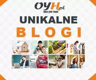 Dodaj wpis do SEO blogów najlepsza forma promocji