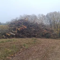 Stos pociętych gałęzi i pni drzew leżący na ziemi w lesie, widoczny szlak leśny, mglista pogoda.