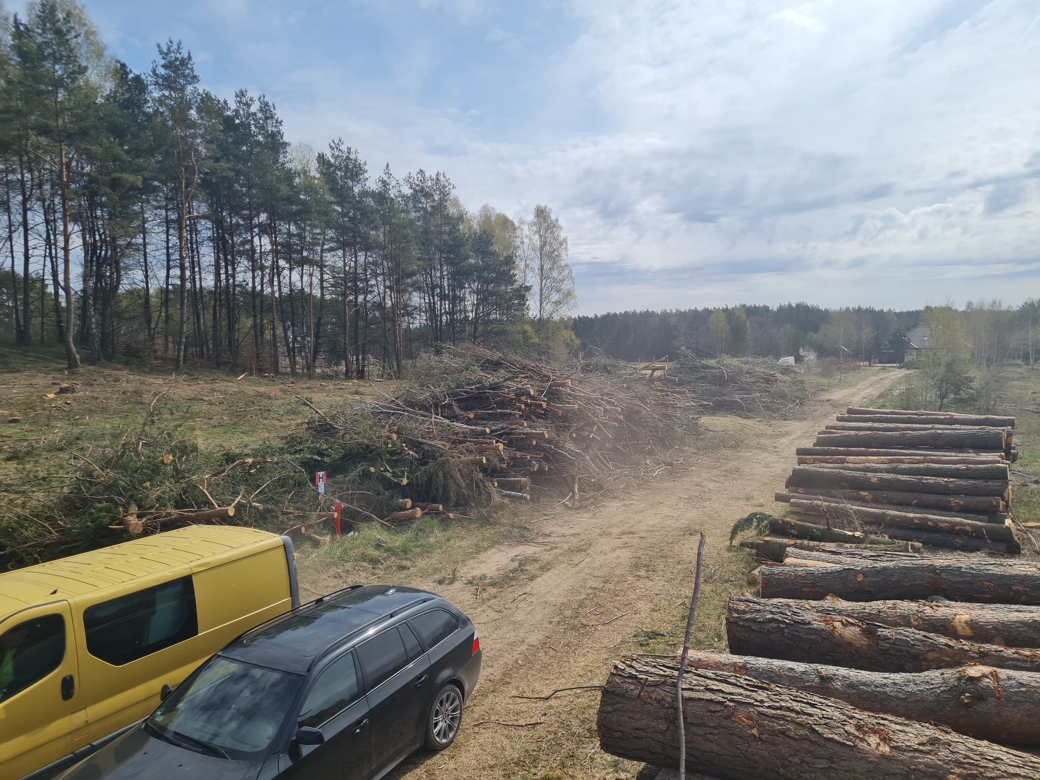 Teren po wycince drzew: stosy pociętych gałęzi i ułożone bale drewna wzdłuż polnej drogi, żółty van i czarne kombi w tle, las na horyzoncie.