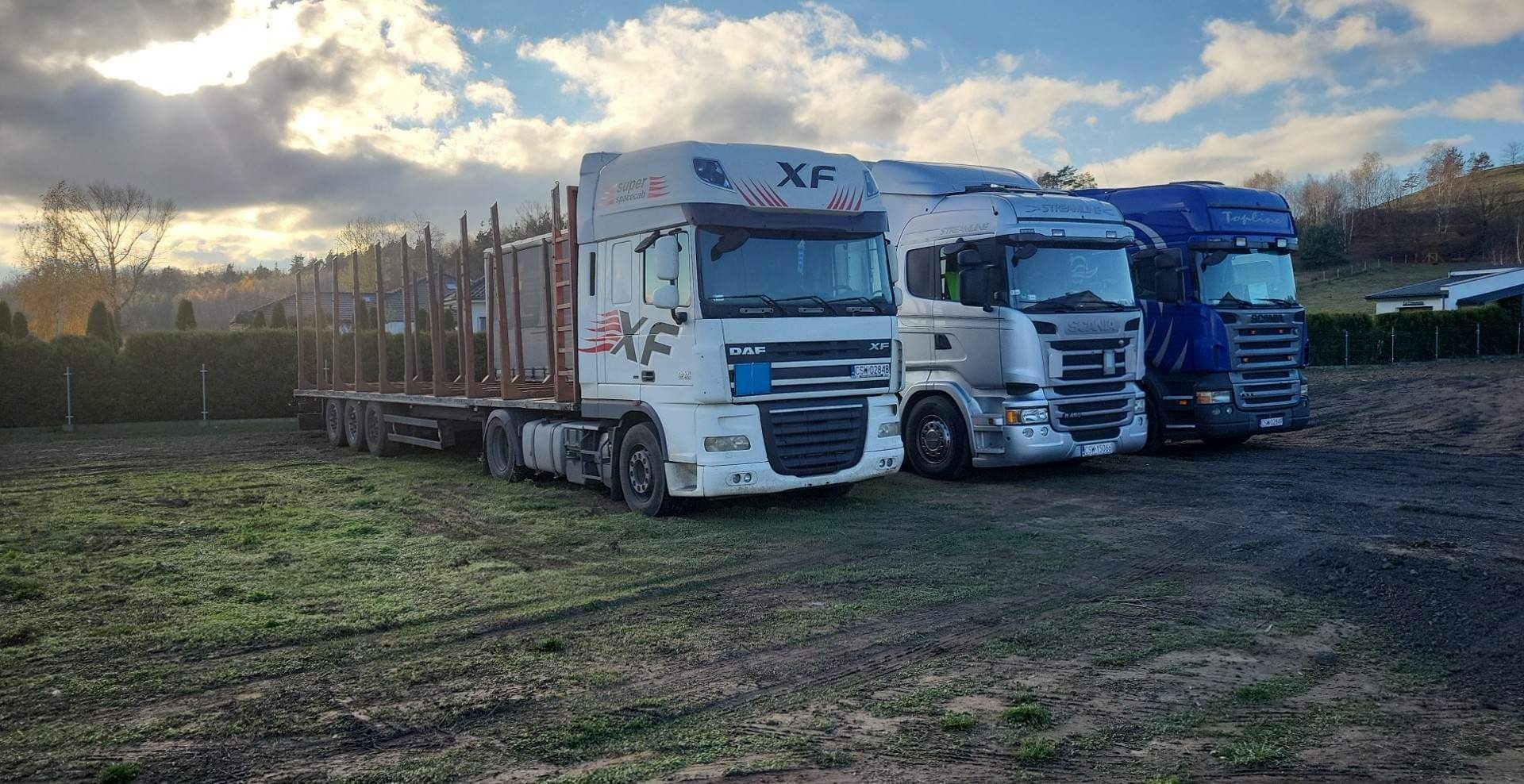Trzy ciężarówki DAF XF i Scania zaparkowane na trawiastym placu, pierwsza z przyczepą do przewozu drewna, jesienne drzewa w tle.