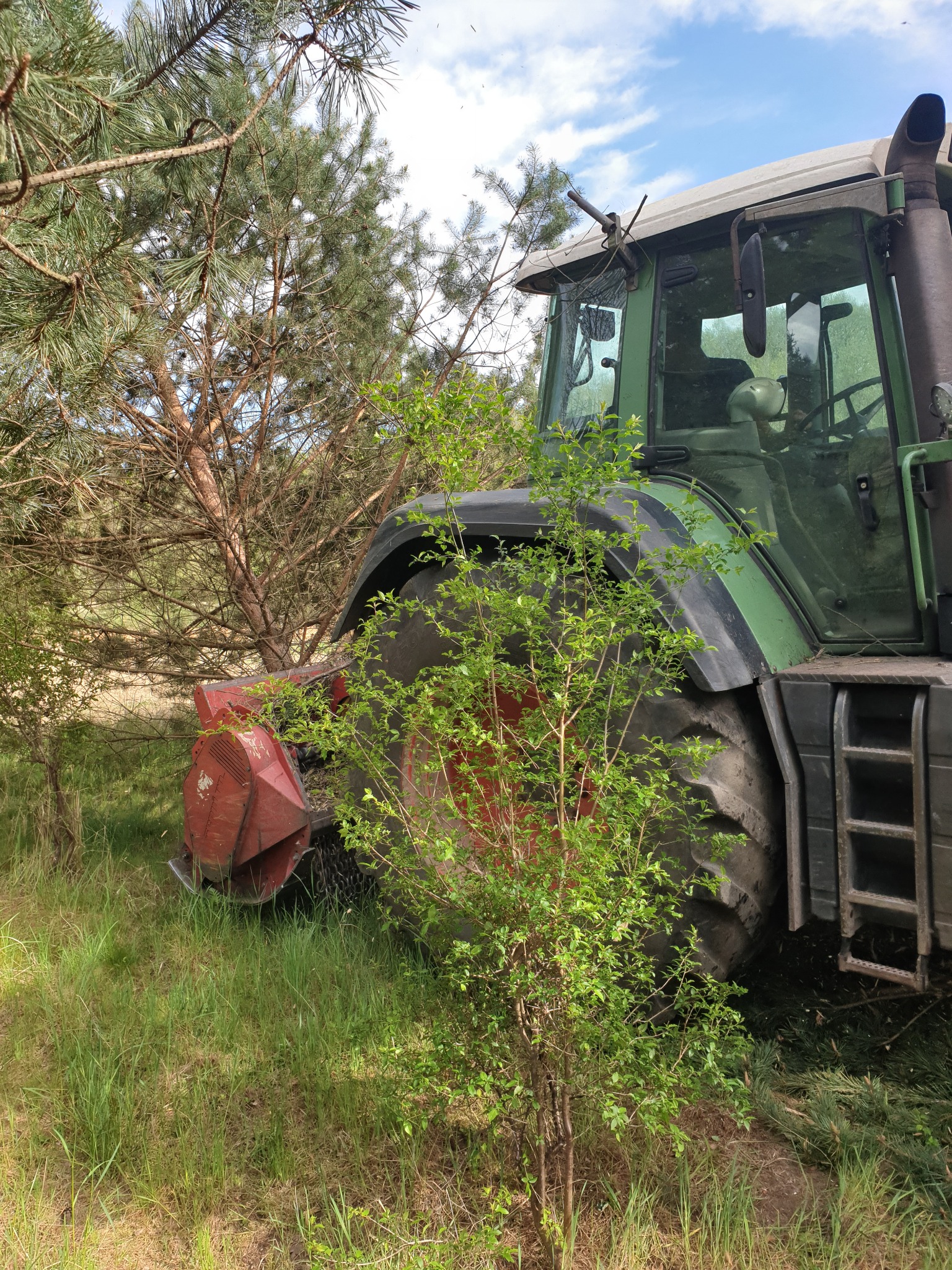 Zielony traktor z czerwonym mulczerem rotacyjnym w trakcie pracy przy drzewach iglastych, widoczne świeżo zmielone gałęzie.
