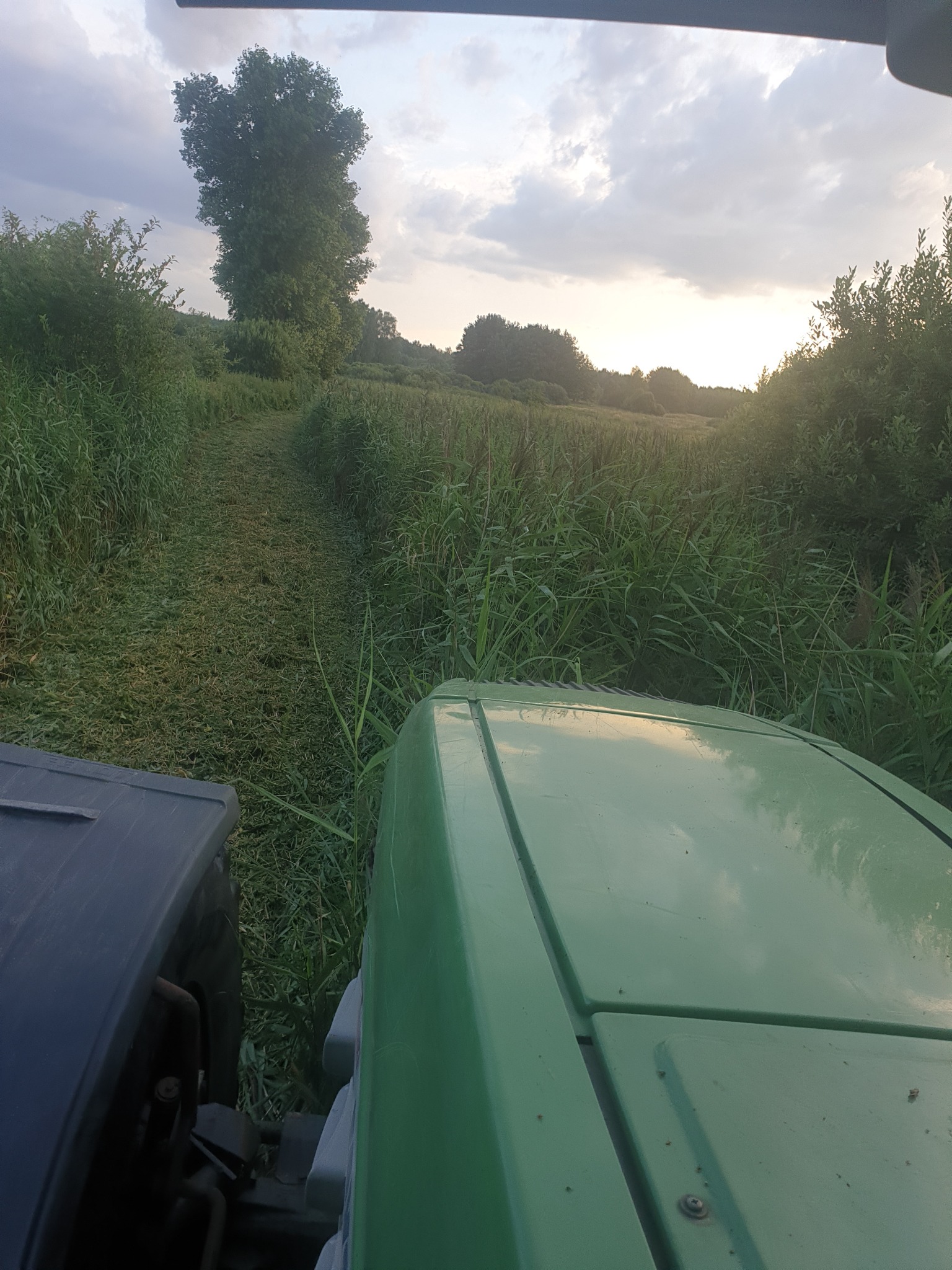 Widok z kabiny traktora na łąkę po skoszeniu trawy, widoczne ślady opon i kępy wysokiej trawy po bokach, zachmurzone niebo w tle.