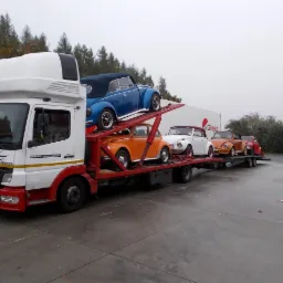 Laweta transportuje kolekcję zabytkowych Volkswagenów Garbusów w różnych kolorach. Widoczny biały ciągnik siodłowy z czerwoną ramą i logo Girteka na naczepie.