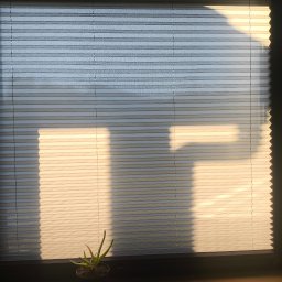 BFS Bartłomiej Faryński - Plisowana roleta okienna w kolorze szarym, oświetlona ciepłym światłem słonecznym, z małą rośliną doniczkową na parapecie. Widoczne delikatne załamania materiału.