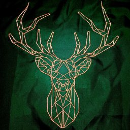 Haftowanie Szaflary 2