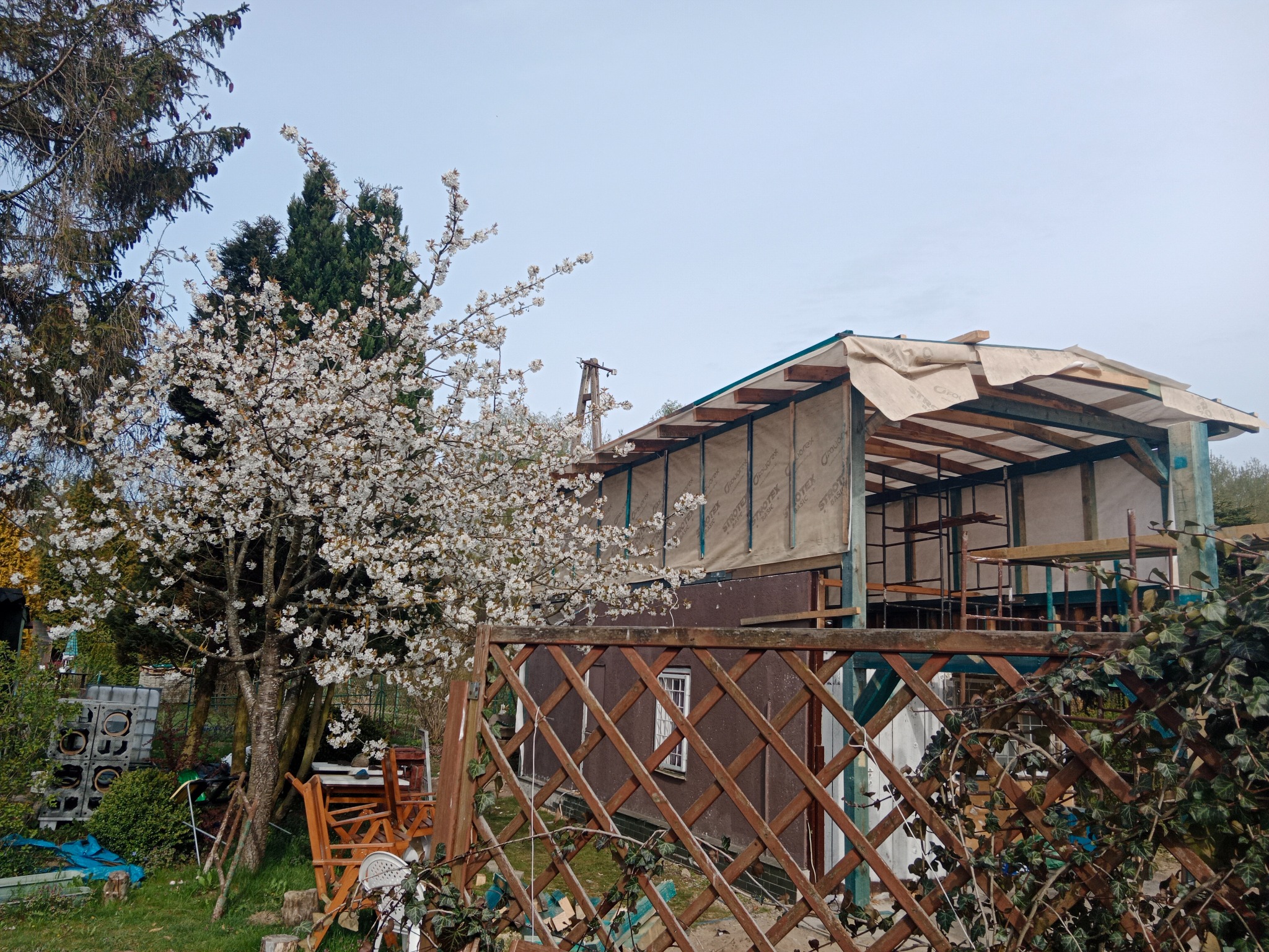 Budowa szkieletowej konstrukcji domu w ogrodzie, widok przez drewniany płot z kwitnącym drzewem na pierwszym planie.