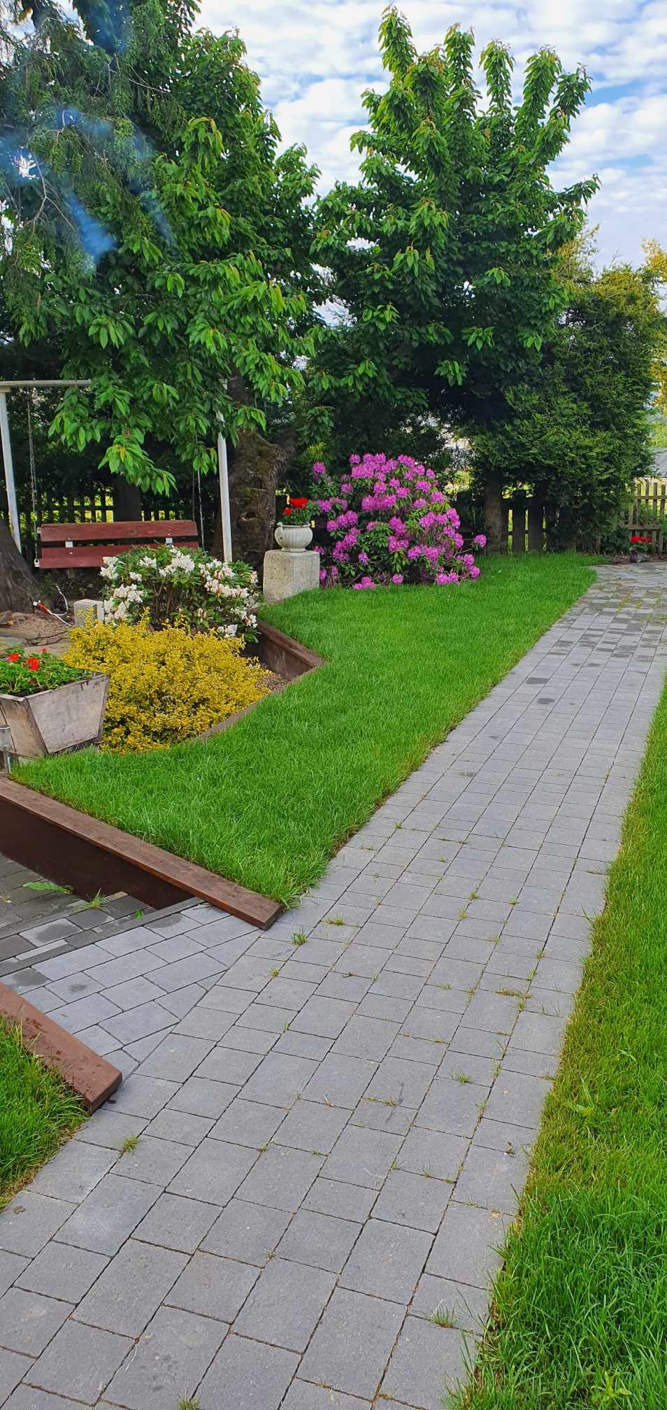 Urokliwy ogród z brukowaną ścieżką, rabatami kwiatowymi z różowymi i białymi azaliami, wiszącą huśtawką pod drzewem i zadbanym trawnikiem.