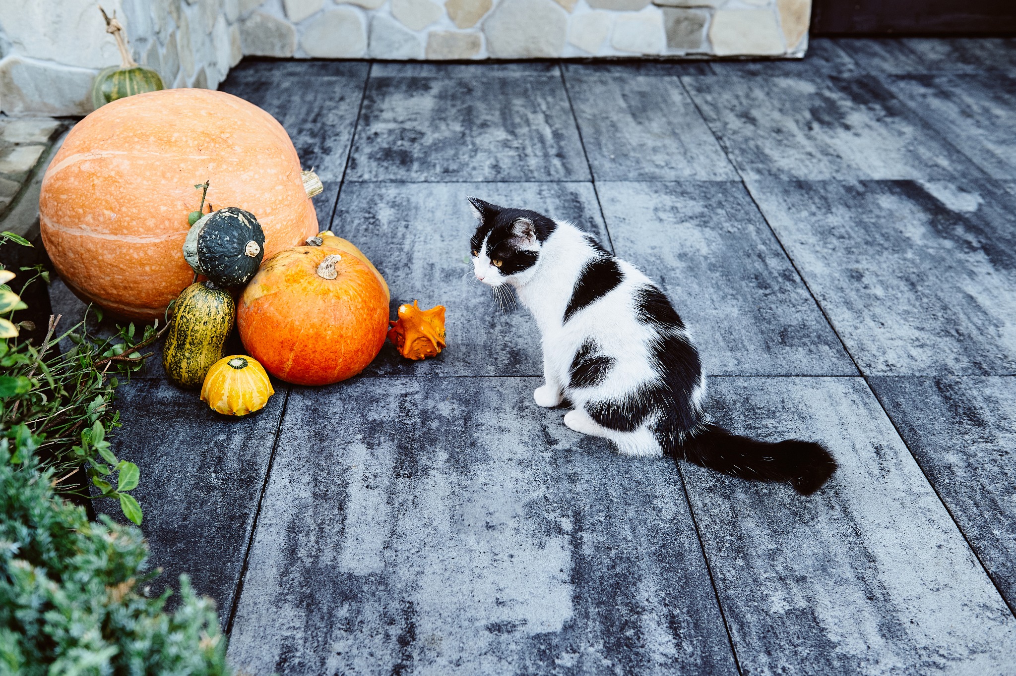 Postaw na włoski styl.