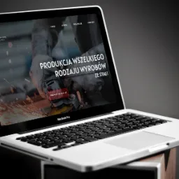 Strona Internetowa PPHU Józef Dłuski