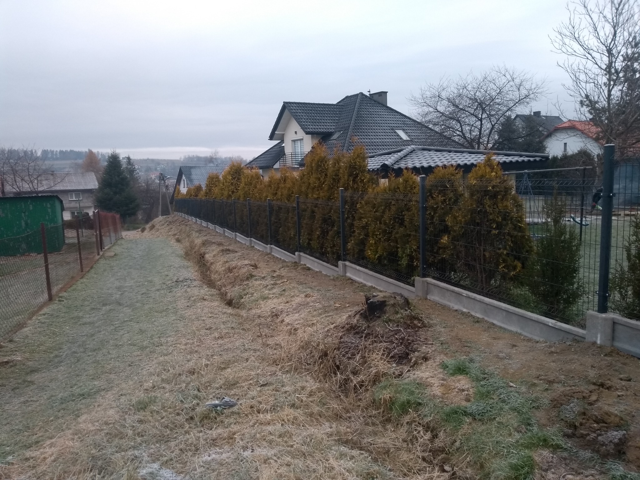 Nowoczesne ogrodzenie panelowe z podmurówką betonową, obsadzone tujami szmaragd, widok z zewnątrz posesji w pochmurny dzień.
