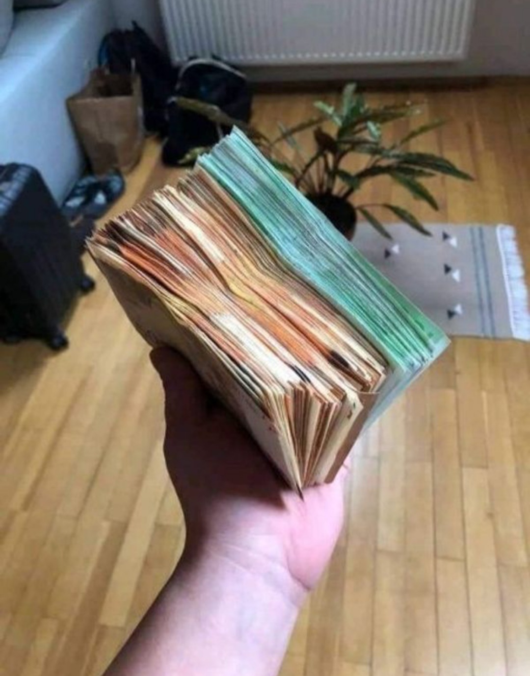 Dłoń trzymająca gruby plik banknotów o różnych nominałach, ułożonych kolorami, z bagażem, rośliną doniczkową i dywanikiem w tle.