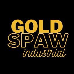 Gold-spaw Dominik Kubek - Spawacz Aluminium Dębica