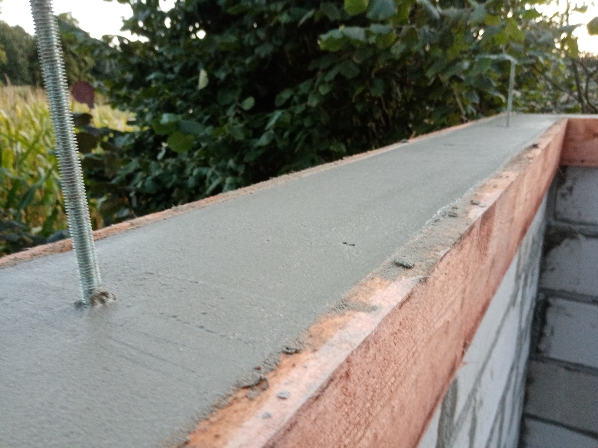 Świeżo wylana, gładka wylewka betonowa w szalunku z desek, z wystającymi gwintowanymi prętami, na tle zieleni.