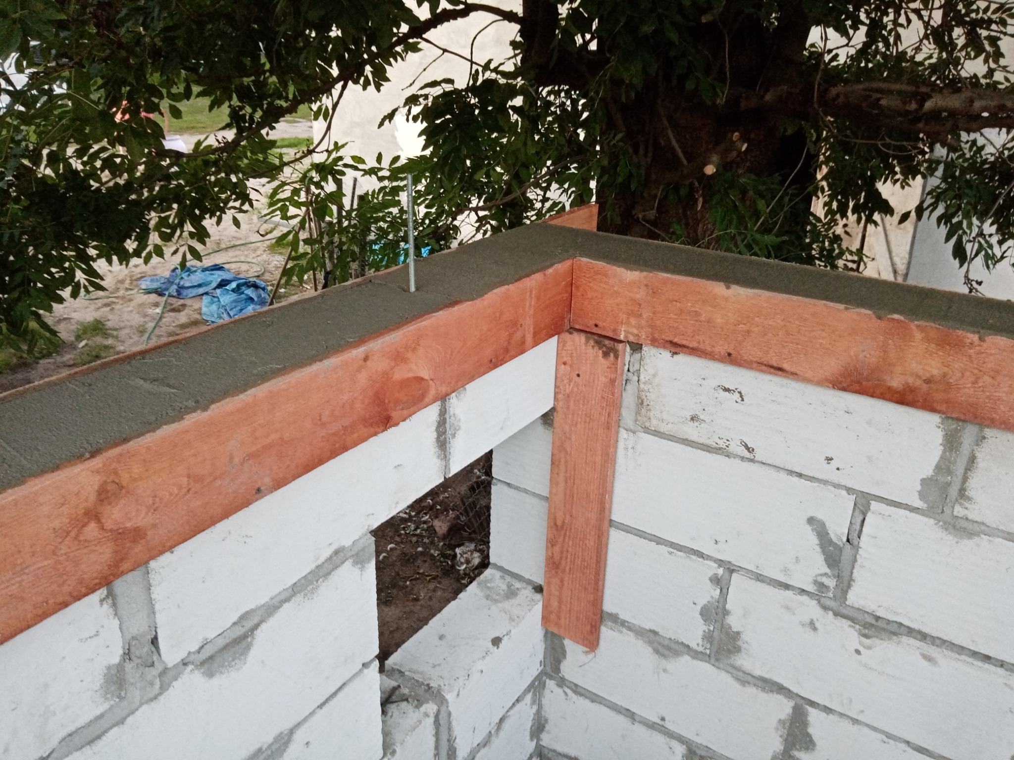 Wznoszenie muru z betonu komórkowego, z drewnianym szalunkiem wypełnionym świeżym betonem na górze, na zewnątrz, z widocznym zbrojeniem i fragmentem drzewa w tle.