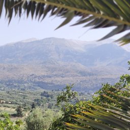 Kancelaria Ubezpieczeniowa Anna Jaworska - OC Lublin