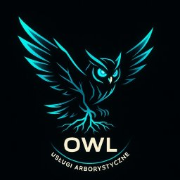 OWL SPÓŁKA Z OGRANICZONĄ ODPOWIEDZIALNOŚCIĄ - Wysokiej Klasy Alpiniści Przemysłowi Legnica