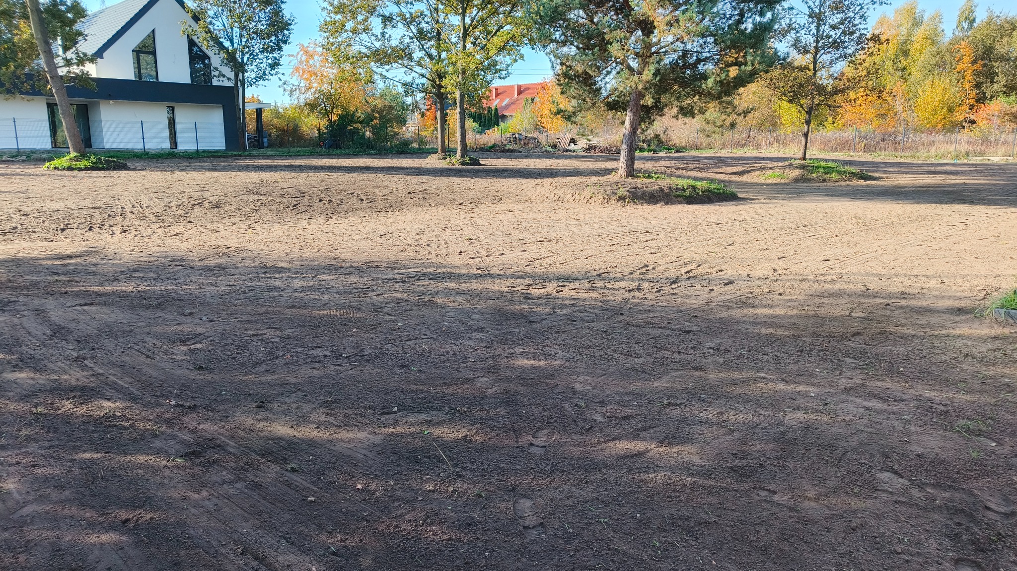 Przygotowany teren pod trawnik z widocznymi śladami opon i wyrównaną ziemią, drzewa pozostawione na niewielkich wzniesieniach.