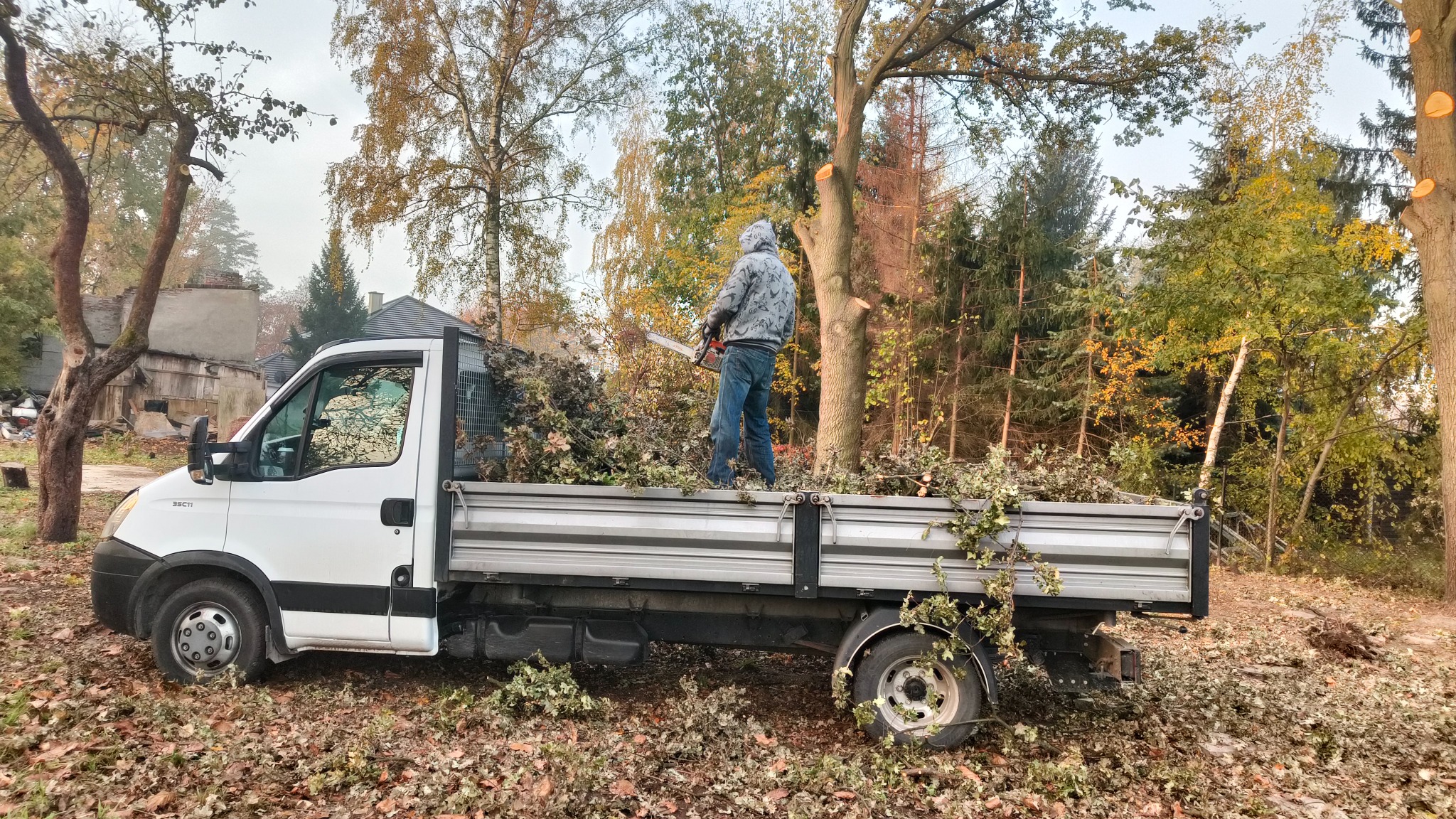 Pracownik w bluzie z kapturem stoi na skrzyni białego samochodu dostawczego, trzymając piłę spalinową, po wycince drzew w tle widoczne ścięte pnie drzew