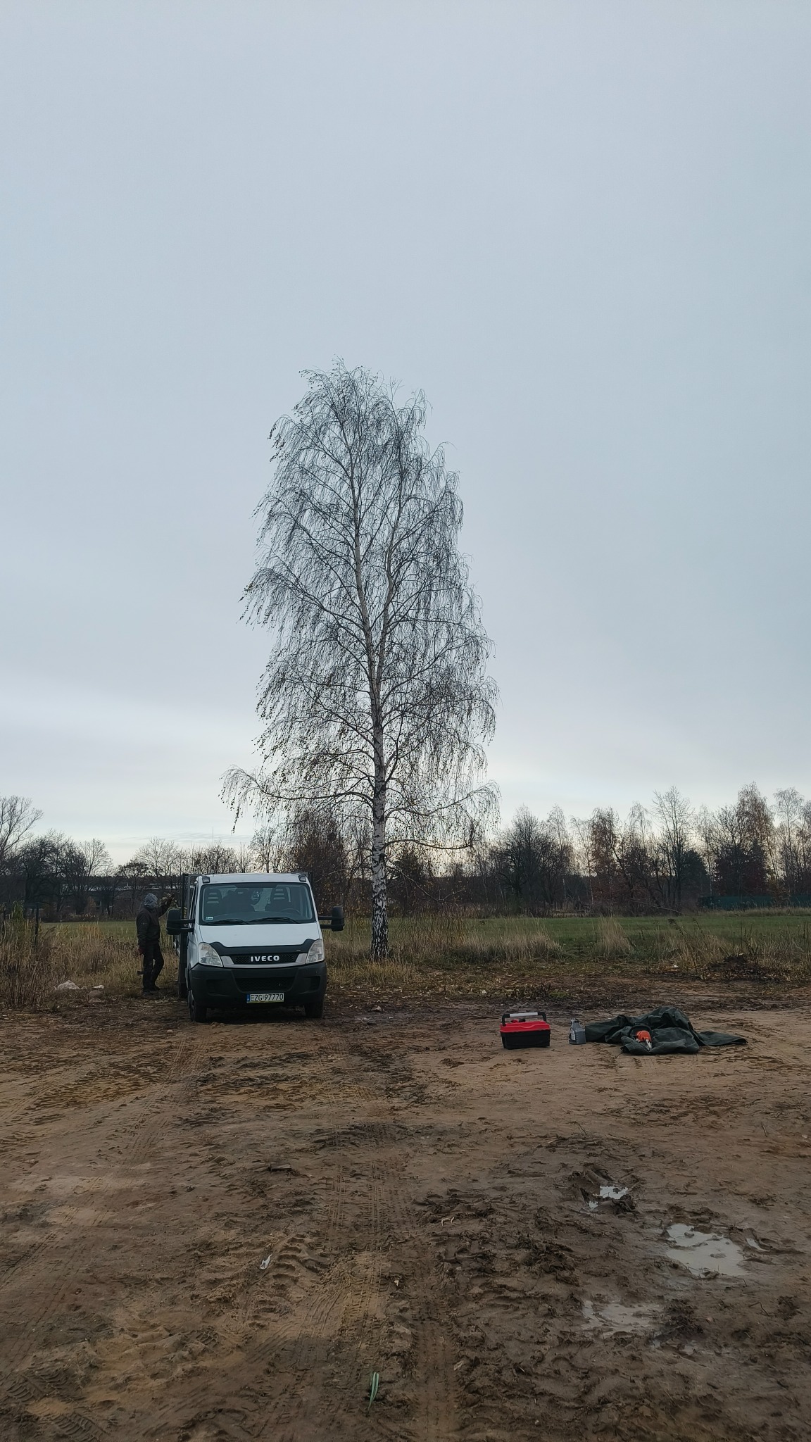 Przygotowania do wycinki: pracownik przy białym samochodzie Iveco, obok narzędzia i brudna ziemia, na tle wysoka brzoza bez liści i pochmurne niebo.