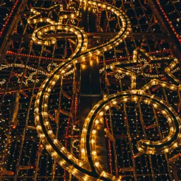 'Gwiezdna autostrada'