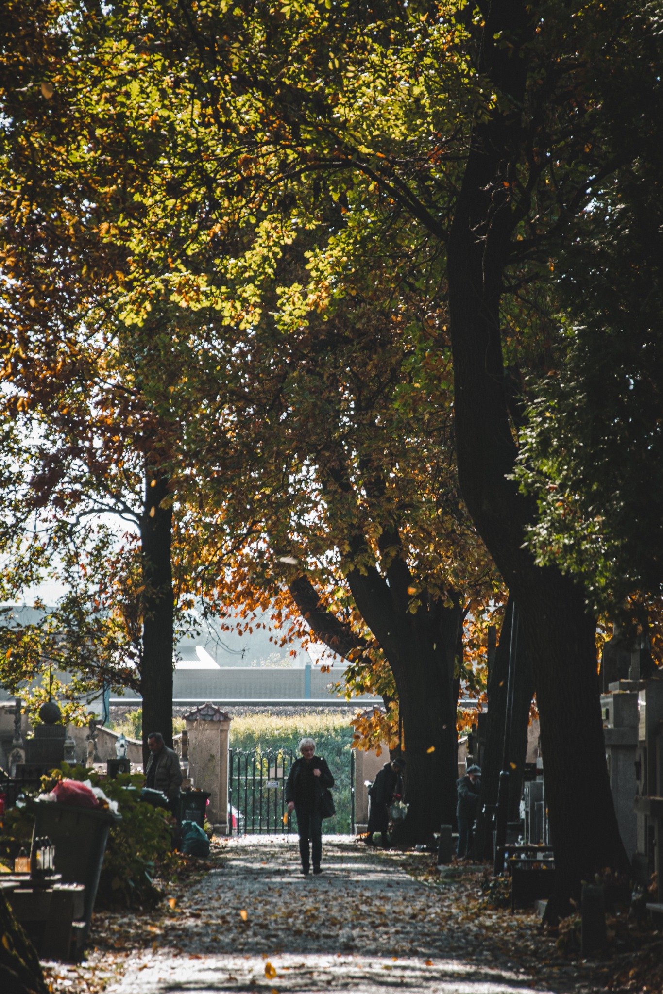 'Mały, szary człowiek'