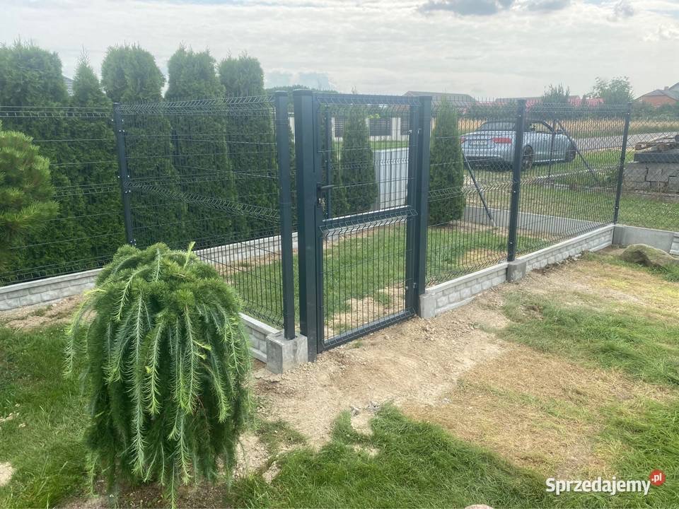 Nowoczesne ogrodzenie panelowe z bramką, osadzone na betonowej podmurówce z widocznymi słupkami, na tle tuj i zaparkowanego samochodu osobowego.